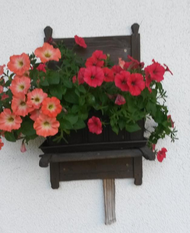 Waldschoenau Kirchbichl Extérieur photo